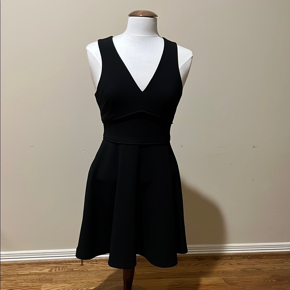 Likely Black Fit and Flare Mini Dress V-Neck Sleeveless